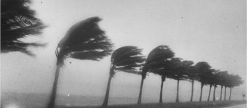 Hurricane Harvey makes landfall in Texas picture credits;www.wikimediacommons.com