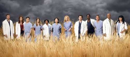 Grey's Anatomy Season 14 (Image Credit - Athena LeTrelle/Flickr)