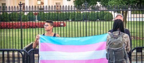 Overview of President Trump's official memo to ban transpeople from the military - Photo: Flickr