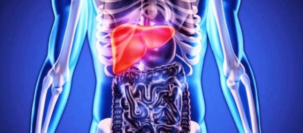 Conheça os sintomas da hepatite B Conheça os sintomas da hepatite B