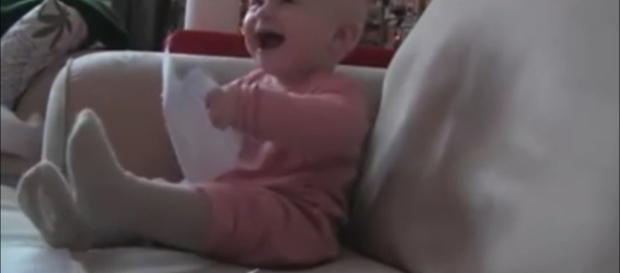 Image from funnyplox-YouTube Screenshot Image from funnyplox-YouTube Screenshot