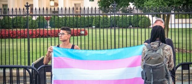 Overview of President Trump's official memo to ban transpeople from the military - Photo: Flickr Overview of President Trump's official memo to ban transpeople from the military - Photo: Flickr