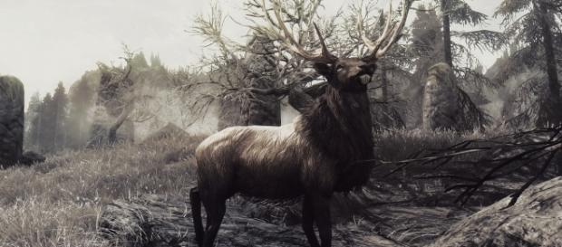 Skyrim screenshot by guidethisonekalahira on flickr Skyrim screenshot by guidethisonekalahira on flickr