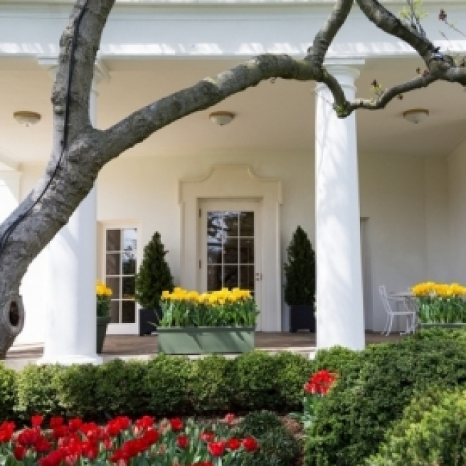 Outside the Oval Office at the White House. / [Image by The White House via Flickr, Public Domain]