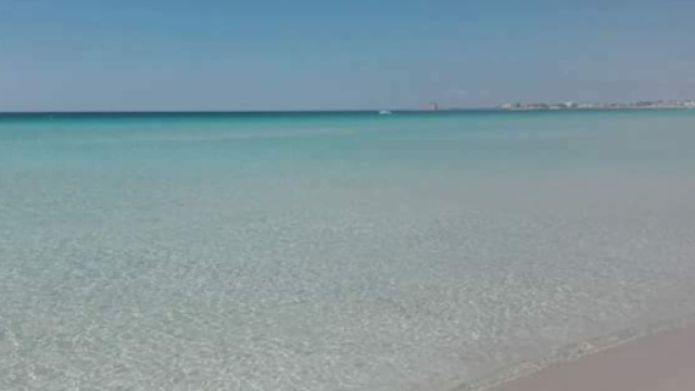 La apiaggia di Porto Cesareo..