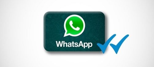 WhatsApp: arrivano i profili business "verificati" e la spunta verde: ecco di cosa si tratta.