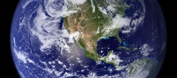 75 Percent of Animal Species to be Wiped Out - Photo: Pexels 75 Percent of Animal Species to be Wiped Out - Photo: Pexels