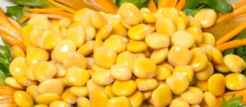 Lupini stimolano secrezione di insulina