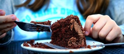Too much Chocolate, Cake - Image via Pixabay
