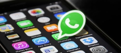 WhatsApp: in arrivo le spunte verdi per gli account verificati delle aziende - Credits: HeikoAL/PD