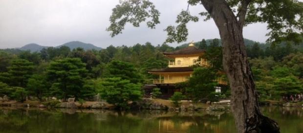 Il tempio d'oro di Kyoto (Giappone) immerso nella natura zen Il tempio d'oro di Kyoto (Giappone) immerso nella natura zen