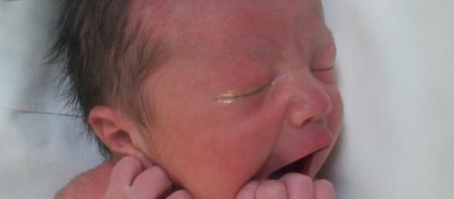Cinque cose sui neonati che nessuno dice mai - Una mamma green - unamammagreen.com
