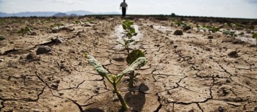 La siccità che sta colpendo l'Italia.Fonte:http://www.rinnovabili.it/ambiente/siccita-milioni-africani-fame-333/