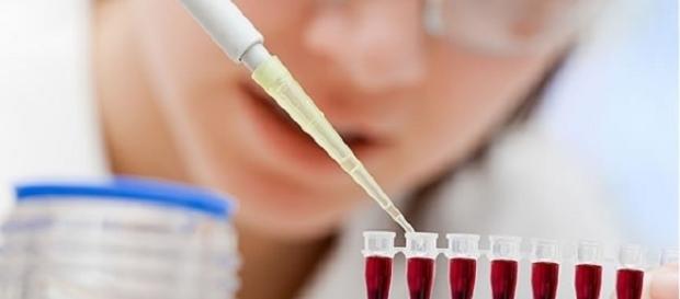 Teste de paternidade foi a solução encontrada Teste de paternidade foi a solução encontrada