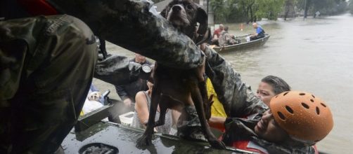 During challenging times solidarity flourishes (Photo: U.S. Department of Defense)