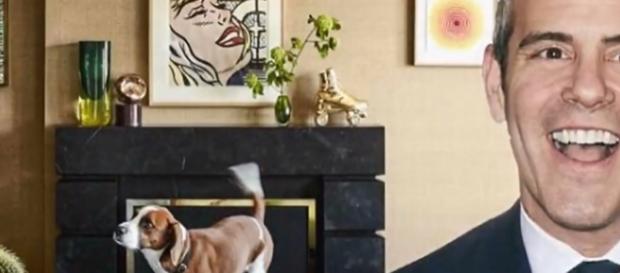 Andy Cohen gives the public a peek at his colorful NYC apartment - ELLE DECOR/SHOWBIZ US UK/YouTube Andy Cohen gives the public a peek at his colorful NYC apartment - ELLE DECOR/SHOWBIZ US UK/YouTube