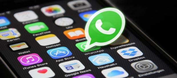 WhatsApp, arriva la catena di Sant'Antonio del numero che formatta il telefono WhatsApp, arriva la catena di Sant'Antonio del numero che formatta il telefono