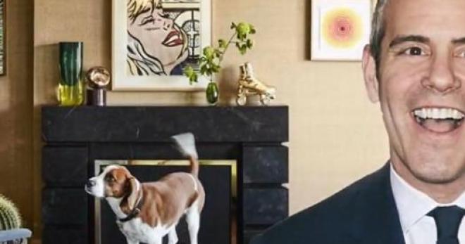 Bravo Host Andy Cohen S Apartment Is His Own Watch What Happens