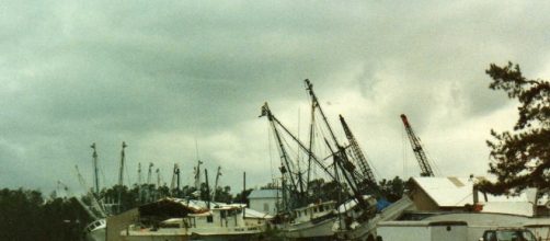 After Hurricane Hugo, McCellanville, SC 1989 | McCellanville… | Flickr - flickr.com