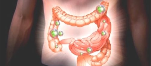 L'alterazione della flora batterica (disbiosi) aumenta il rischio di comparsa delle malattie autoimmuni.