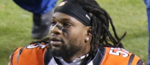 The NFL said Vontaze Burfict violated two rules on his hit to Anthony Sherman -- Jeffrey Beall via WikiCommons