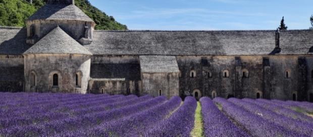 Lavandas e a Abadia de Senanque durante o verão Lavandas e a Abadia de Senanque durante o verão