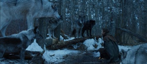 The direwolves as mythical creatures on 'Game of Thrones' that represent the Starks. ~ YouTube/Game Of Thrones