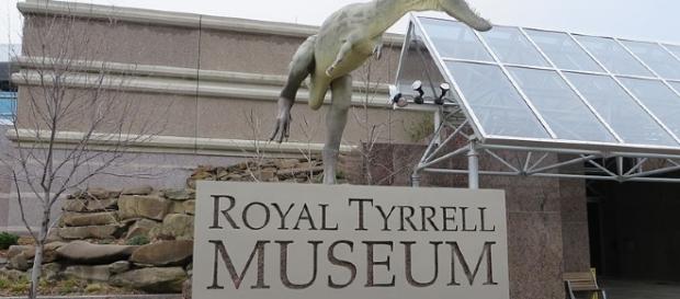 Dinosaur photo on Royal Tyrrell Museum |Carolyn Miaral | Wikimedia Dinosaur photo on Royal Tyrrell Museum |Carolyn Miaral | Wikimedia