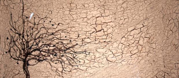 Earth could warm by 2 degrees by the end of this century / Photo via John William, Flickr Earth could warm by 2 degrees by the end of this century / Photo via John William, Flickr