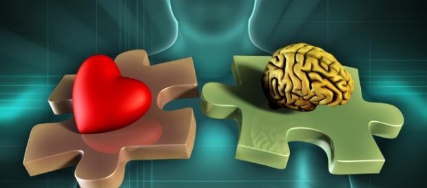 Emotional Intelligence Training: How to Develop Emotional Intellegence - udemy.com Emotional Intelligence Training: How to Develop Emotional Intellegence - udemy.com