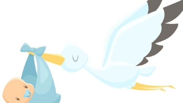 Bonus Cicogna: cos'&egrave;, importo e come fare domanda.