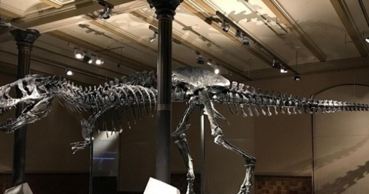 millennium mine dinosaur