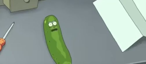 Pickle Rick in Rick and Morty Season 3 (Rick and Morty / YouTube)