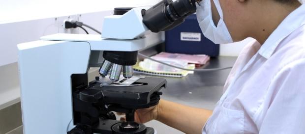 Scientists researching possible HIV cure / Photo via Herney, Pixabay Scientists researching possible HIV cure / Photo via Herney, Pixabay