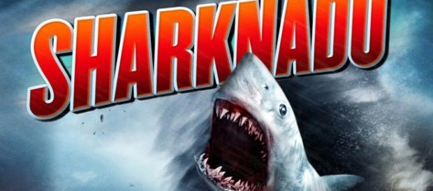 ''Sharknado'' está disponível na Netflix ''Sharknado'' está disponível na Netflix