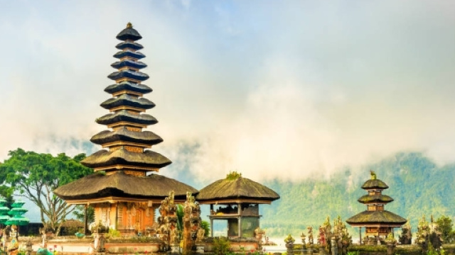 bali, carne di cane al bando dopo lo scandalo