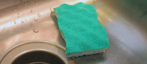 A photo showing a sponge in a sink - Flickr/Your Best Digs