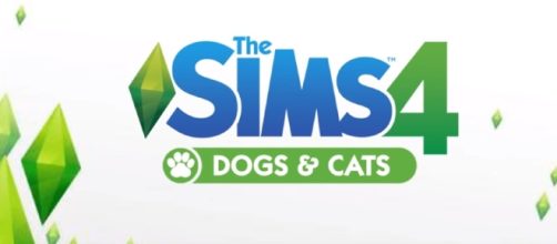 Fans uncover an interesting clue hinting the addition of pets. [Image via YouTube/The Sims 4]