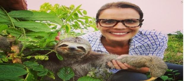 Priscila segura um bicho preguiça em uma de suas reportagens Priscila segura um bicho preguiça em uma de suas reportagens