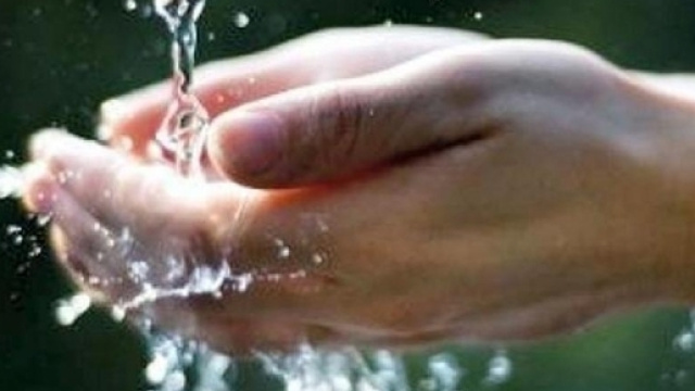 Si dissetano: epidemia collettiva - ilgazzettino.it