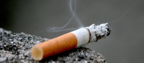 A photo showing a cigarette - Flickr/Raul Lieberwirth