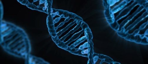 Gene manipulation leading to healing of diseases