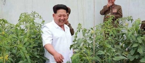 Lo stile di vita del dittatore nordcoreano