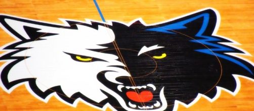 Minnesota Timberwolves franchise logo | Flickr | Doug Wallick