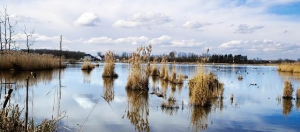 An 11-year-old Idaho boy drowned while trying to save his teenage brother/Photo via Johan Neven, Flickr An 11-year-old Idaho boy drowned while trying to save his teenage brother/Photo via Johan Neven, Flickr