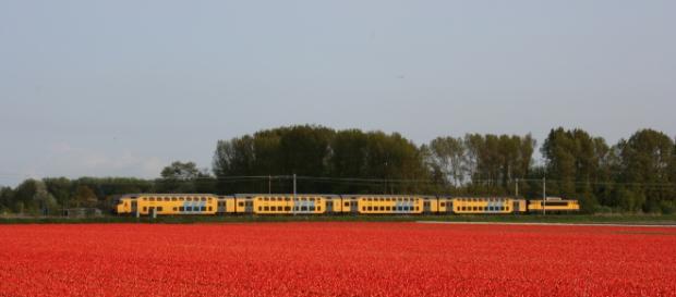 Treno olandese - Secondo le ferrovie olandesi da gennaio il 100% dei treni viaggia a energia eolica Treno olandese - Secondo le ferrovie olandesi da gennaio il 100% dei treni viaggia a energia eolica