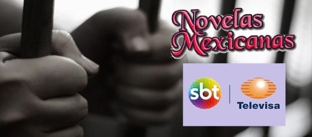 Ninel Conde pode ser presa por falsificação Ninel Conde pode ser presa por falsificação