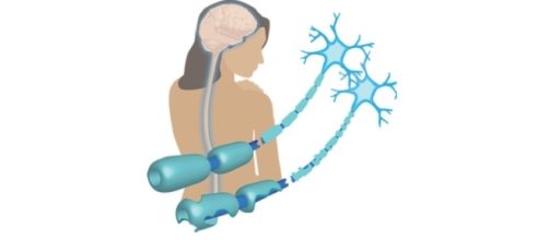 Una nuova terapia orale è stata approvata in Europa, si tratta di cladrina.