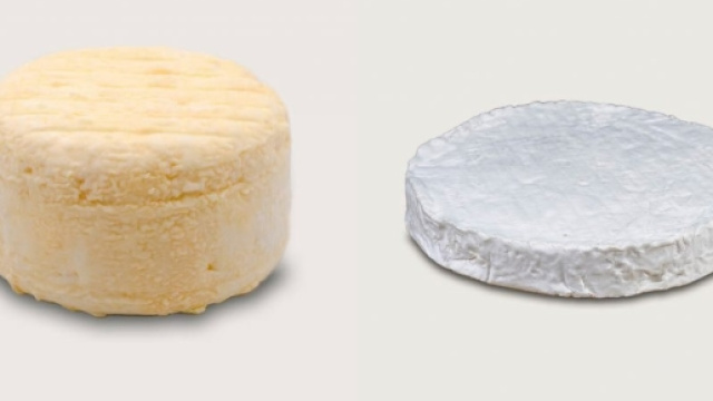 Ricotta di pecora contaminata (foto d'archivio)