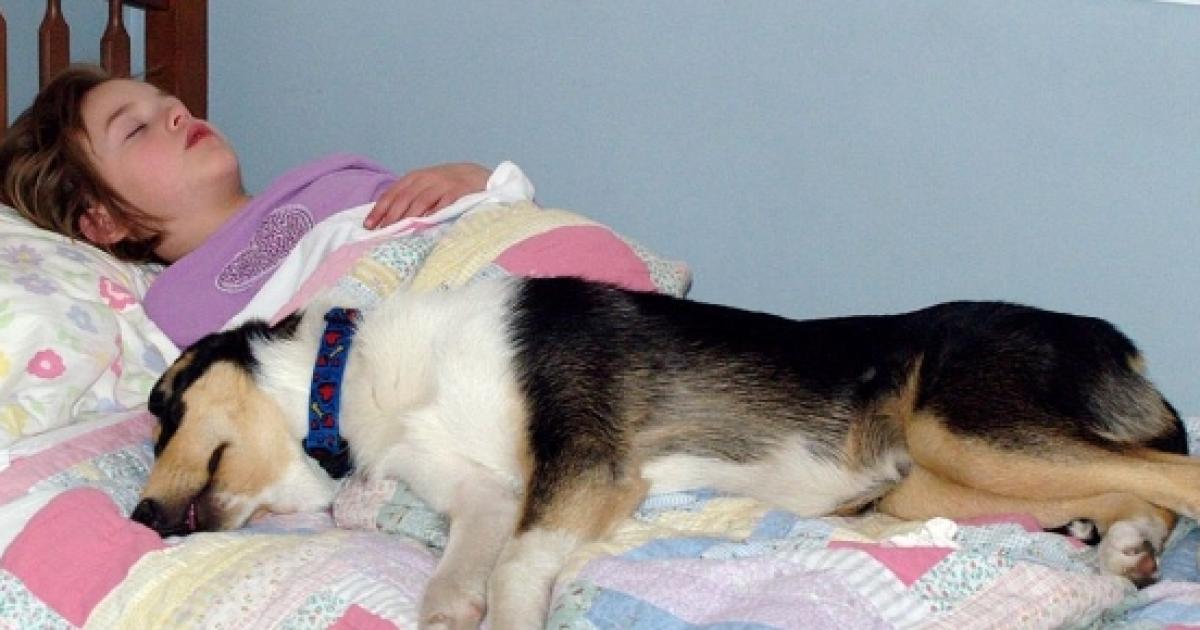 Letting your dog sleep in your bedroom could help you sleep better